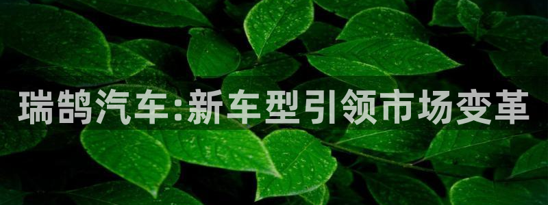 太阳集团城所有网址：瑞鹄汽车:新车型引领市场变革
