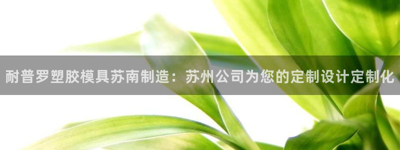 太阳控股集团有限公司董事长：耐普罗塑胶模具苏南制造：苏州公司为您的定制设计定制化