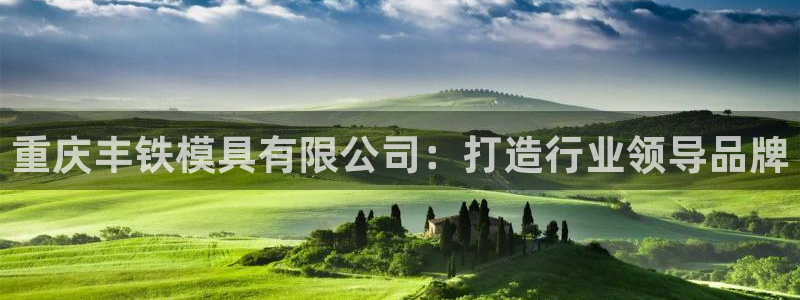 太阳集团游戏城旧版1382：重庆丰铁模具有限公司：打造行业领导品牌