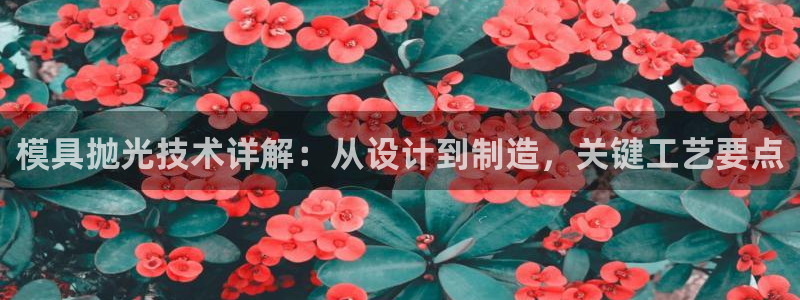 太阳集团城：模具抛光技术详解：从设计到制造，关键工艺要点
