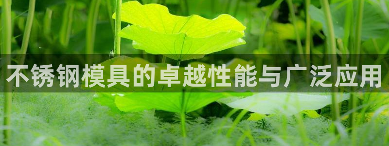 太阳集团tcy8722：不锈钢模具的卓越性能与广泛应用