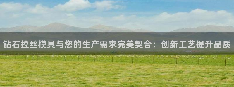 太阳集团官网导航首页：钻石拉丝模具与您的生产需求完美契合：创新工艺提升品质