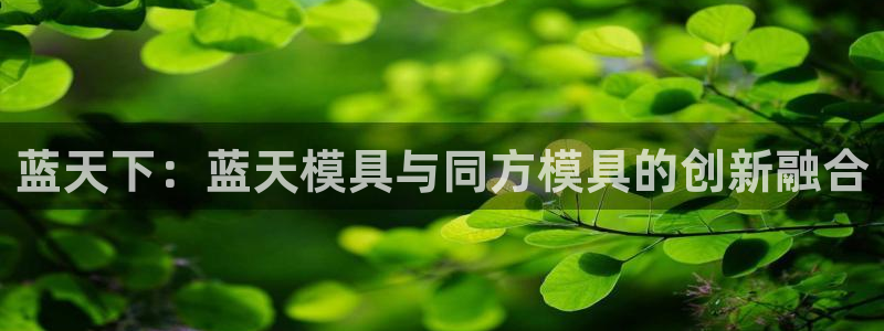 太阳集团网站游戏