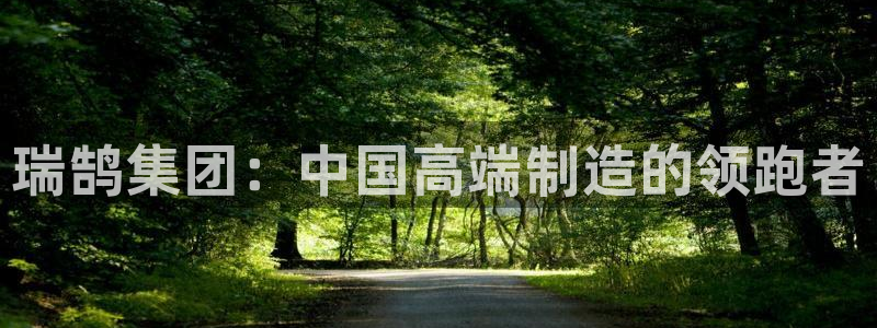 太阳app官网：瑞鹄集团：中国高端制造的领跑者
