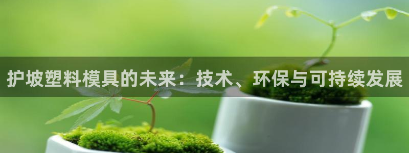 太阳app官方：护坡塑料模具的未来：技术、环保与可持续发展