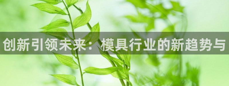 太阳集团城娱8722官方网站