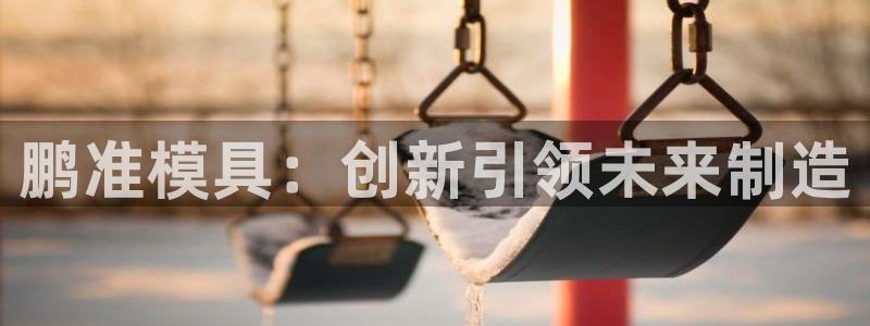 太阳集团洗米华菲律宾：鹏准模具：创新引领未来制造
