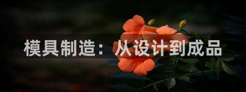 太阳gg登录首页：模具制造：从设计到成品