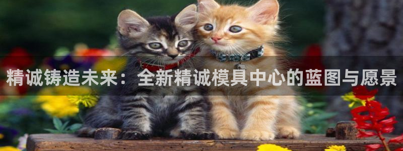 太阳集团tcy8722查封了：精诚铸造未来：全新精诚模具中心的蓝图与愿景