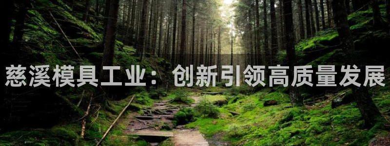太阳gg会员登录：慈溪模具工业：创新引领高质量发展