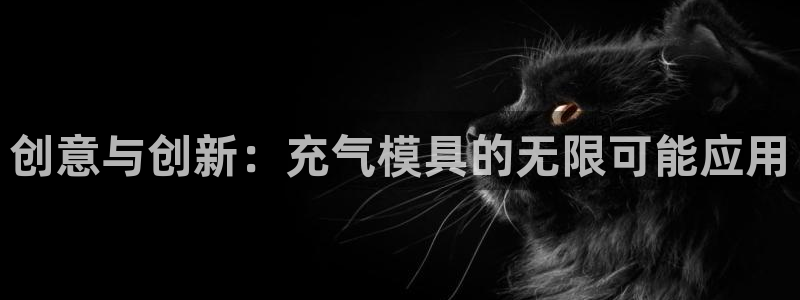 太阳集团电子游戏宙斯：创意与创新：充气模具的无限可能应用
