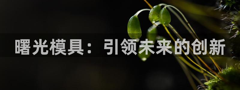 8827太阳集团官网