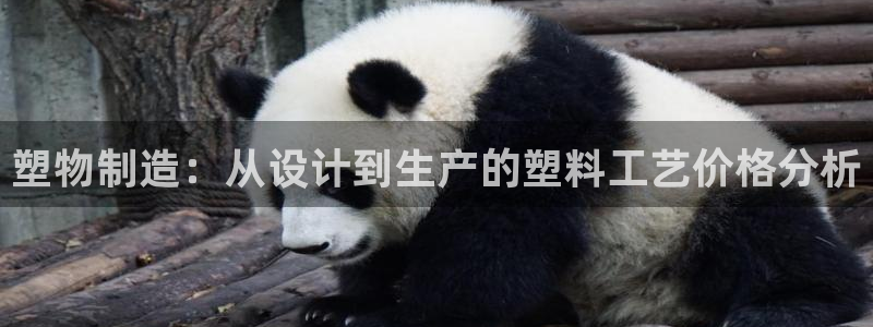 太阳2平台app下载：塑物制造：从设计到生产的塑料工艺价格分析