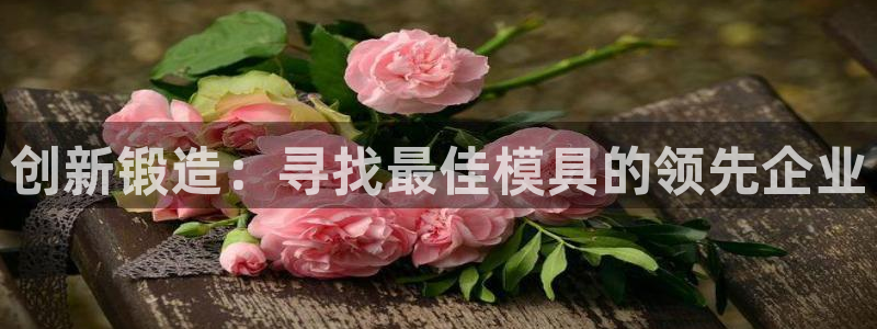 太阳成集团tyc122cc：创新锻造：寻找最佳模具的领先企业