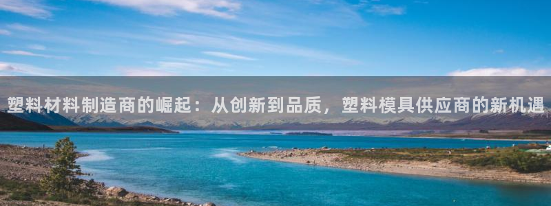 太阳成集团mmm671：塑料材料制造商的崛起：从创新到品质，塑料模具供应商的新机遇