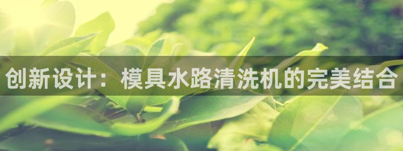 太阳成集团游戏：创新设计：模具水路清洗机的完美结合