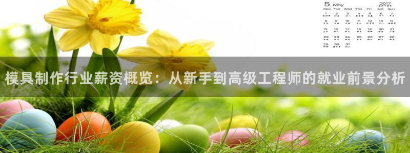 太阳gg在线测速登录：模具制作行业薪资概览：从新手到高级工程