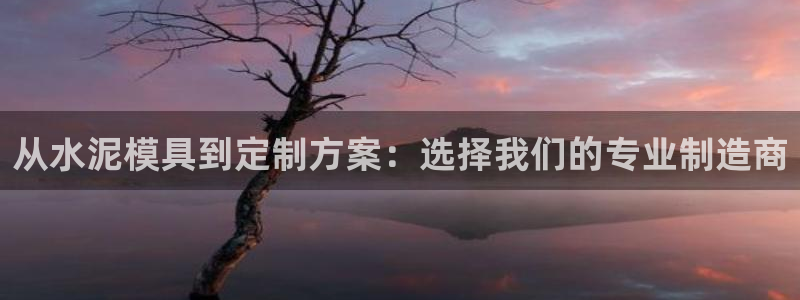 太阳集团城官网1407：从水泥模具到定制方案：选择我们的专业制造商