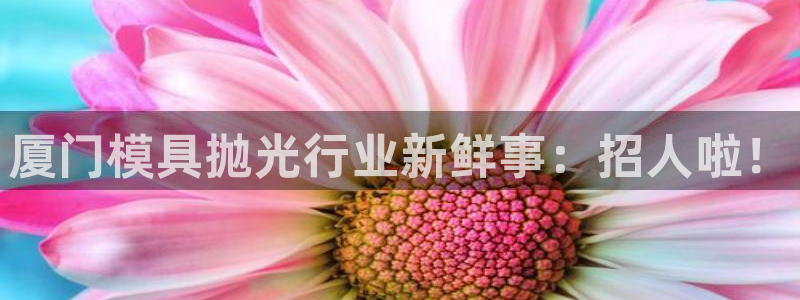 太阳集团总裁：厦门模具抛光行业新鲜事：招人啦！
