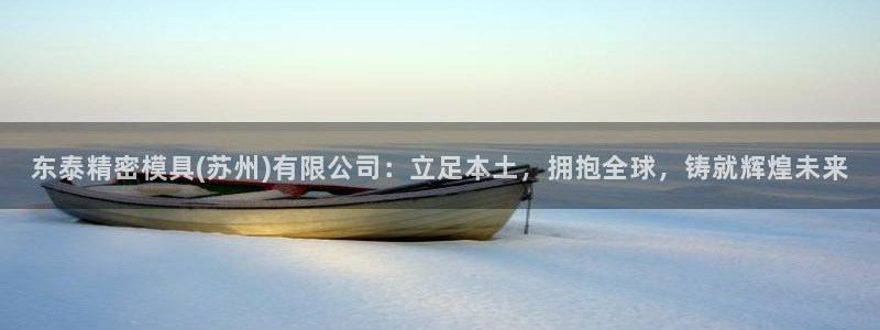 太阳成集团tyc234cc[主页]：东泰精密模具(苏州)有限公司：立足本土，拥抱全球，铸就辉煌未来