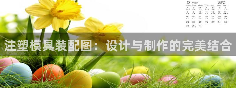 1593太阳集团城所有网址：注塑模具装配图：设计与制作的完美结合