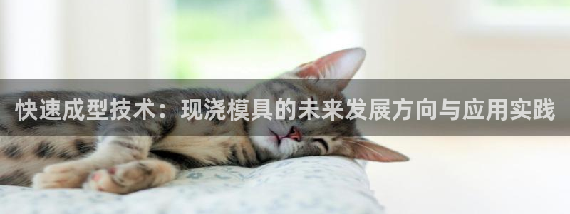 高淳红太阳集团：快速成型技术：现浇模具的未来发展方向与应用实践