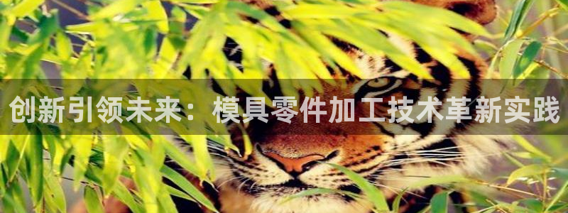 太阳集团贵宾网站：创新引领未来：模具零件加工技术革新实践
