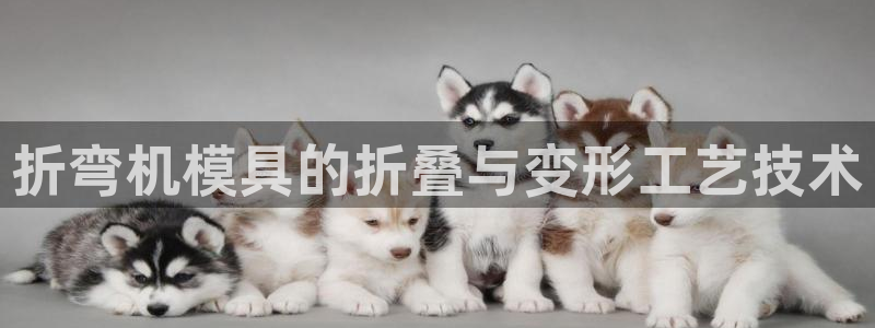 太阳商城贵宾会：折弯机模具的折叠与变形工艺技术