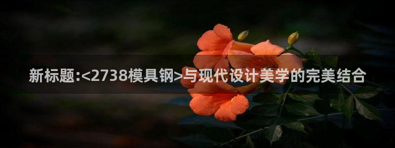 太阳集团2018登录网址查询：新标题:<2738模具钢>与现