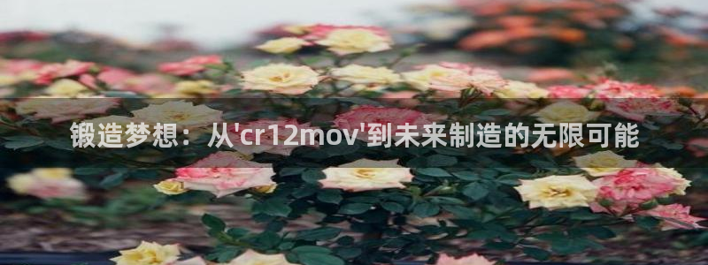 太阳集团娱：锻造梦想：从\'cr12mov\'到未来制造的无